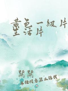 黄色一级片夫妻生活片