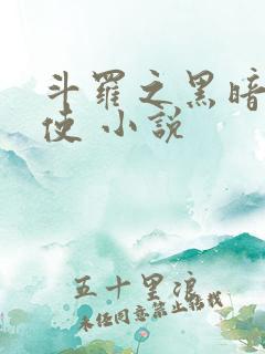 斗罗之黑暗堕天使 小说