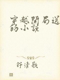 穿越开局送老婆的小说
