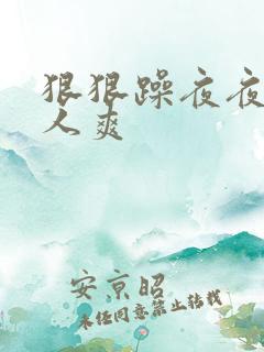狠狠躁夜夜躁人人爽
