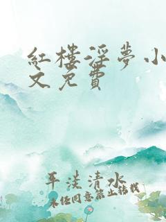红楼淫梦小说全文免费