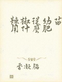 辣椒从幼苗开始用什么肥
