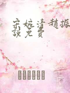 宋婉清赵振国小说免费 宋婉清赵振国小说免费