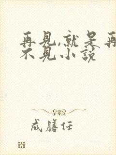 再见,就是再也不见小说