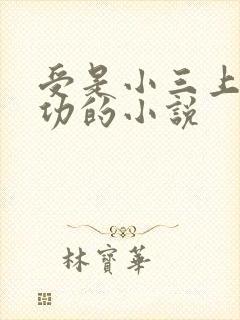 受是小三上位成功的小说