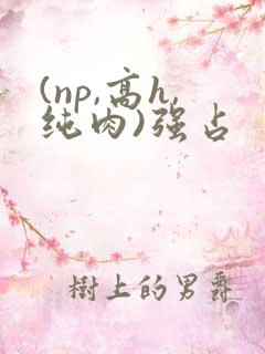 (np,高h,纯肉)强占 (np,高h,纯肉)强占