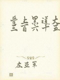 爱上黑道大佬的三百六十五天