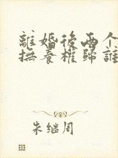 离婚后两个小孩抚养权归谁