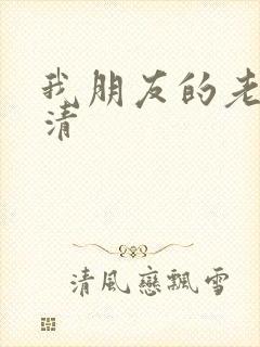 我朋友的老姐高清