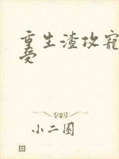重生渣攻宠痴情受