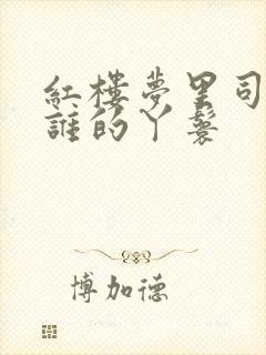 红楼梦里司棋是谁的丫鬟