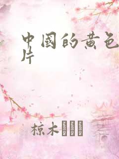 中国的黄色一级片