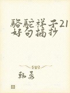 骆驼祥子21章好句摘抄