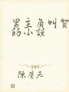 男主角叫贺西洲的小说