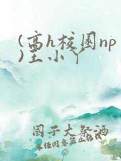 (高h校园np)王小丫