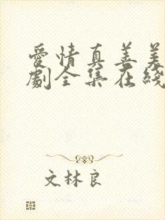 爱情真善美电视剧全集在线播放免费
