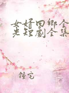 女婿回乡全村风光短剧全集