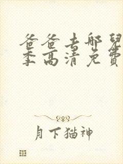 爸爸去哪儿第四季高清免费版