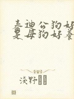 泰迪公狗好养还是母狗好养