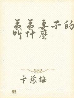 弟弟妻子的哥哥叫什么