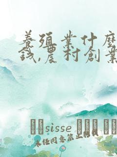 养殖业什么最赚钱,农村创业项目推荐