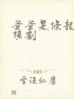 爸爸是条龙 电视剧