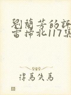 刘兰芳的评书岳雷扫北117集