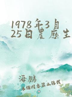 1978年3月25日农历生辰八字