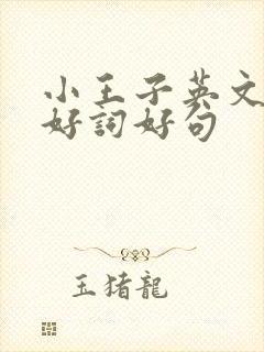 小王子英文版的好词好句