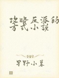 攻略反派的正确方式小说