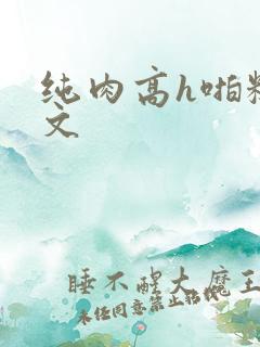 纯肉高h啪糙汉文