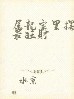 属龙家里摆什么最旺财
