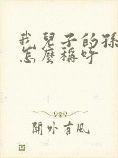 我儿子的孙子我怎么称呼