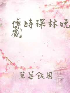 傅时琛林晚晚短剧