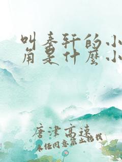 叫秦轩的小说主角是什么小说