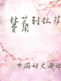 林芝到拉萨包车费用