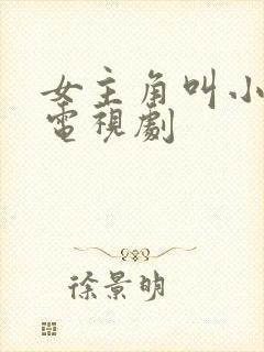 女主角叫小枫的电视剧
