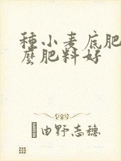 种小麦底肥用什么肥料好
