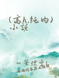 (高h,纯肉)小说 (高h,纯肉)小说