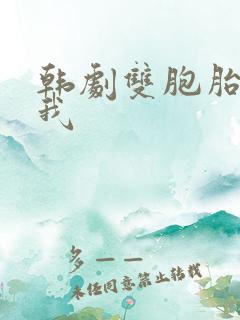 韩剧双胞胎爱上我