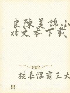 良陈美锦小说txt文本下载