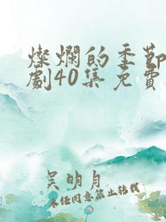 灿烂的季节电视剧40集免费观看全集下载