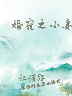 婚宠之小妻不乖 婚宠之小妻不乖