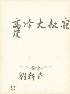 高冷大叔宠妻无度