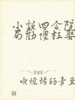 小说四合院:开局劝傻柱娶秦淮茹免费阅读