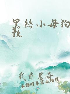 黑丝小母狗被调教 黑丝小母狗被调教