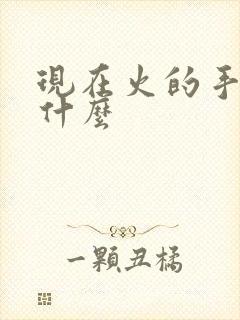 现在火的手游是什么