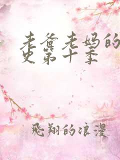 老爸老妈的浪漫史第十季