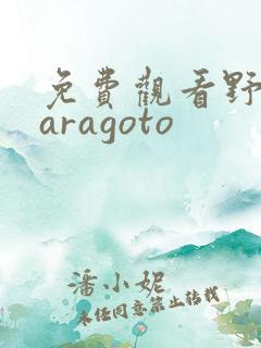 免费观看野良神aragoto