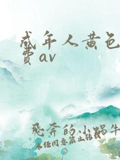 成年人黄色网免费av